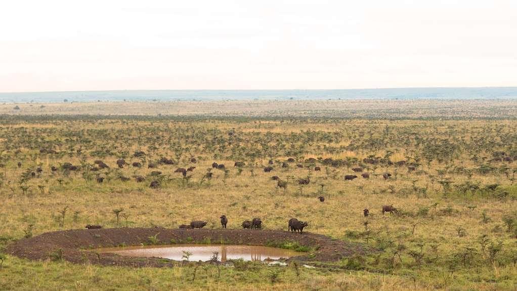 Ole Sereni Nairobi Zewnętrze zdjęcie